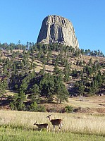 Devil tower (18).JPG